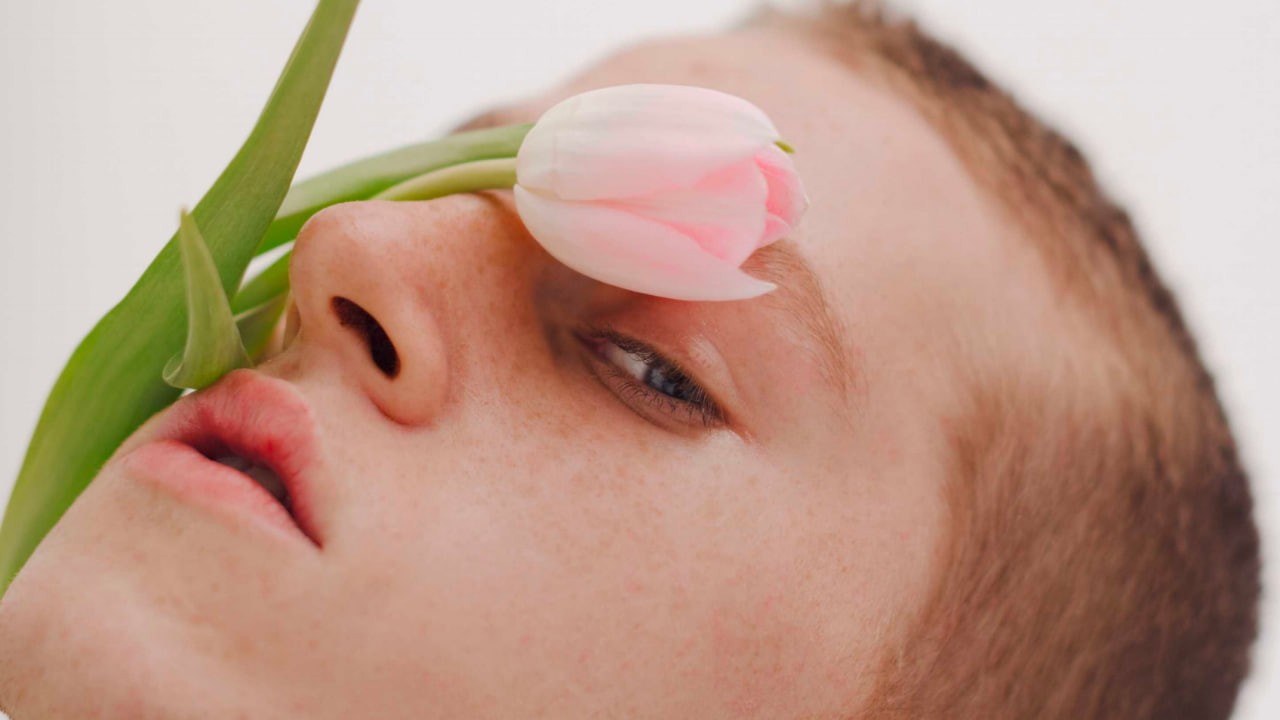 tulip portrait, cool white